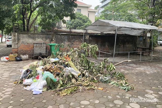 Mô hình loa phát thanh cảm biến xóa bỏ điểm đổ rác tự phát - Ảnh 4.