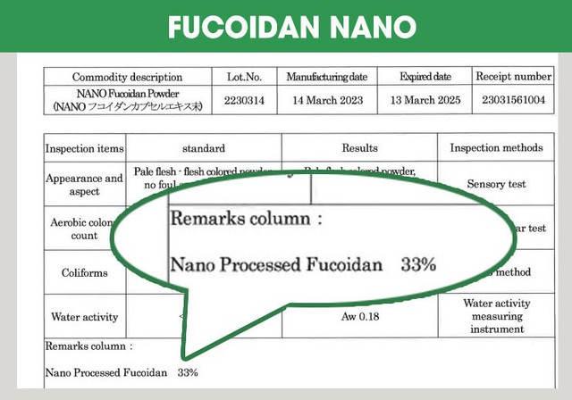 Fucoidan Nano là gì? Tại sao người Nhật không sử dụng Nano trong điều chế Fucoidan? - Ảnh 1.