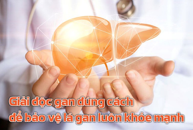 Giải độc gan đúng cách – Bảo vệ lá gan khỏe mạnh mỗi ngày - Ảnh 1.