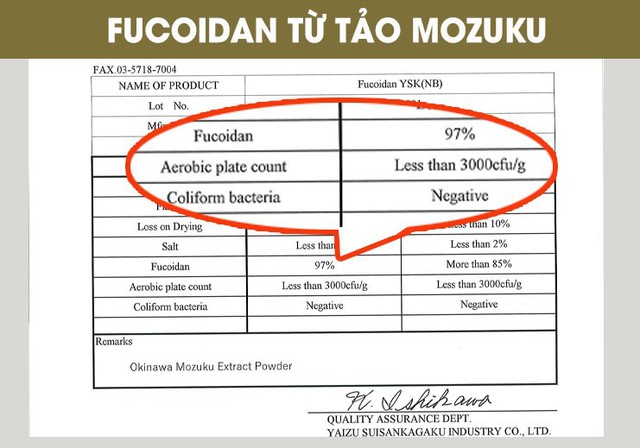 Fucoidan Nano là gì? Tại sao người Nhật không sử dụng Nano trong điều chế Fucoidan? - Ảnh 2.