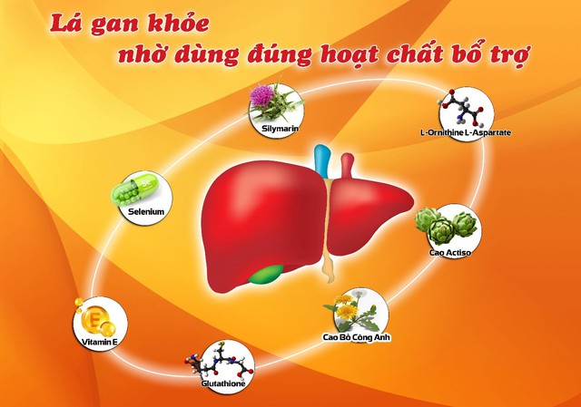 Giải độc gan đúng cách – Bảo vệ lá gan khỏe mạnh mỗi ngày - Ảnh 2.