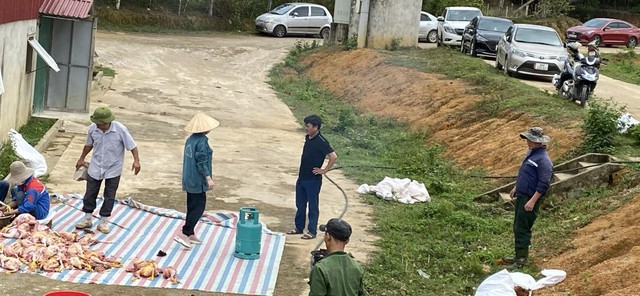 Gần 10.000 con gà của một hộ dân bị chết ngạt do chập điện - Ảnh 2. Gần 10.000 con gà của một hộ dân bị chết ngạt do chập điện - Ảnh 2.