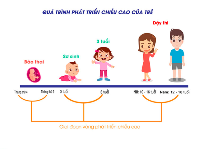 Sản phẩm dinh dưỡng công thức - giải pháp giảm nỗi lo thấp lùn cho trẻ em Việt Nam - Ảnh 1.