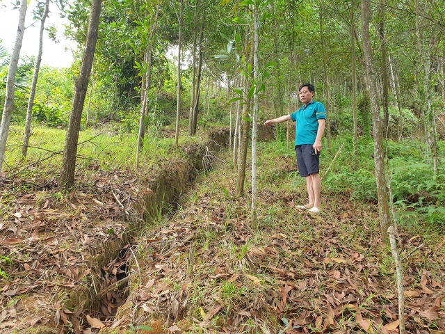 Dự án chống sạt lở chậm triển khai, người dân sống trong lo âu- Ảnh 2.