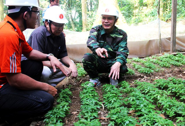 Phát triển cây dược liệu bằng cách áp dụng khoa học - kỹ thuật  - Ảnh 2.