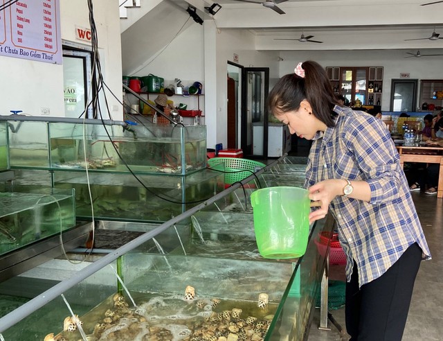 Cơ sở kinh doanh ẩm thực tại các bãi biển ở Hà Tĩnh chú trọng đảm bảo an toàn vệ sinh thực phẩm - Ảnh 2.
