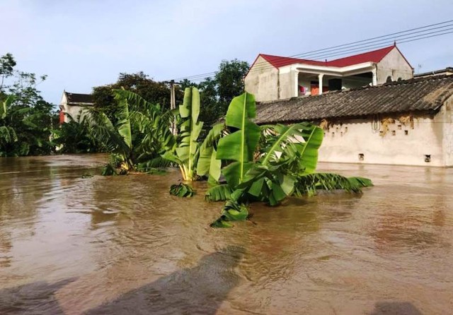 Thanh Hóa và Nghệ An là tâm điểm mưa lớn, nguy cơ nước tiếp tục dâng cao - Ảnh 2.