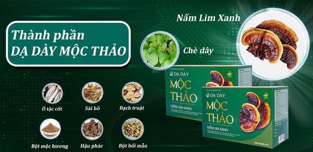 Nấm lim xanh và bí quyết hỗ trợ bảo vệ niêm mạc dành cho người đau dạ dày - Ảnh 3.