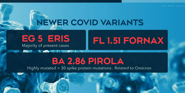 Hệ miễn dịch nhận diện biến thể COVID-19 mới BA.2.86 tốt hơn một vài biến thể phụ XBB - Ảnh 2.
