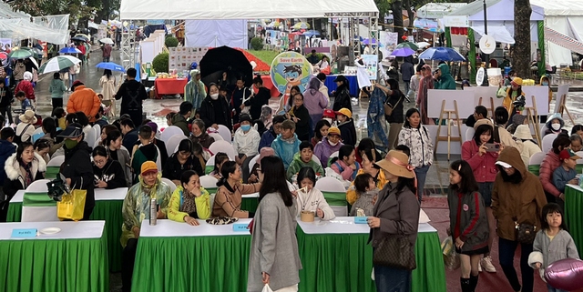 Hàng nghìn người đội mưa rét đến mua sắm, thưởng thức món chay tại Hà Nội- Ảnh 3.