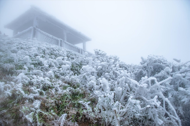 Miền Bắc đón đợt không khí lạnh mạnh nhất của mùa đông năm nay- Ảnh 2.