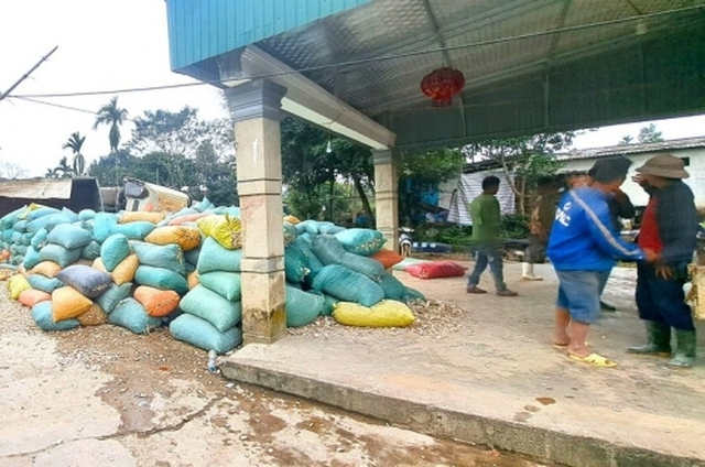 Người dân 'đội' rét gom nông sản giúp tài xế bị lật xe- Ảnh 2.