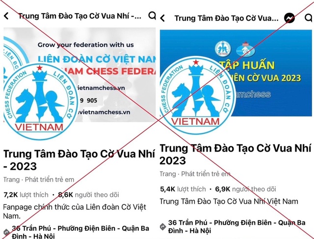 Giả mạo 'Trung tâm đào tạo cờ vua nhí' để lừa đảo- Ảnh 2.