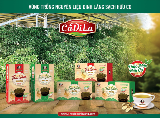 Trà sâm đinh lăng – sản phẩm cho người Việt- Ảnh 2.