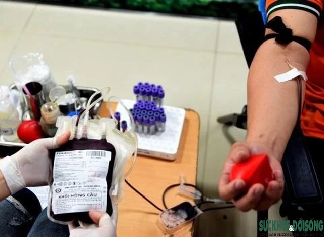 Nghệ An: Người đi hiến máu sẽ nhận được gói xét nghiệm miễn phí- Ảnh 4.