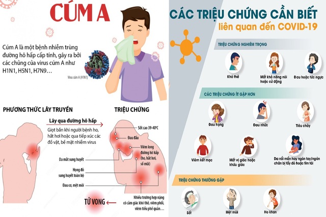 Hướng dẫn phân biệt Cúm A và Covid-19- Ảnh 3.