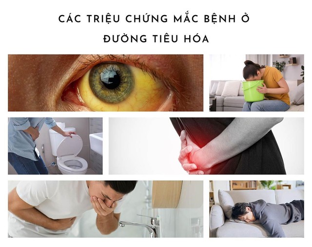 Cảnh báo 5 dịch bệnh thường gặp trong mùa mưa lũ cần lưu ý- Ảnh 2.