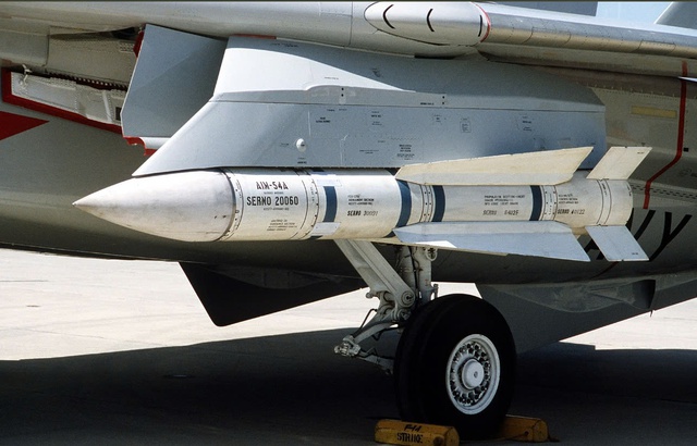 AIM-54 Phoenix: Tên lửa biến F-14 Tomcat thành 'sát thủ trên không'- Ảnh 1.