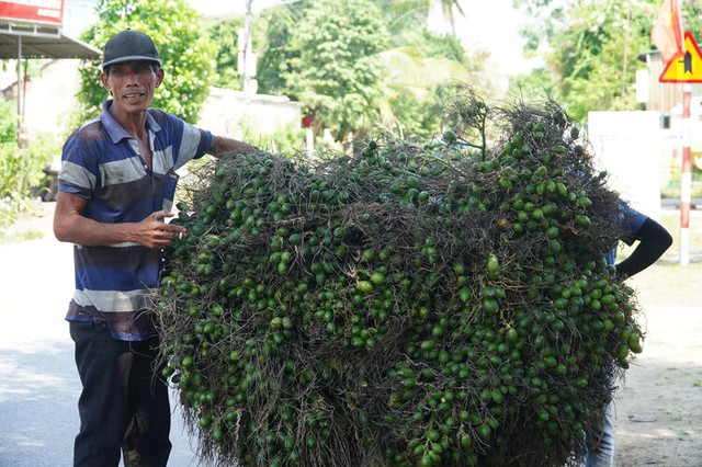 Vì sao giá 1 tấn cau tươi giá bằng cả lượng vàng?- Ảnh 2.