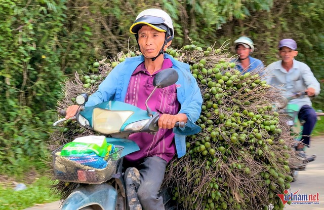 Giá tăng kỷ lục, 1 tấn cau tươi bằng cả lượng vàng- Ảnh 8.