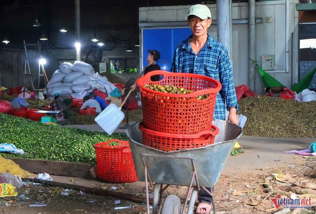 Giá tăng kỷ lục, 1 tấn cau tươi bằng cả lượng vàng- Ảnh 6.