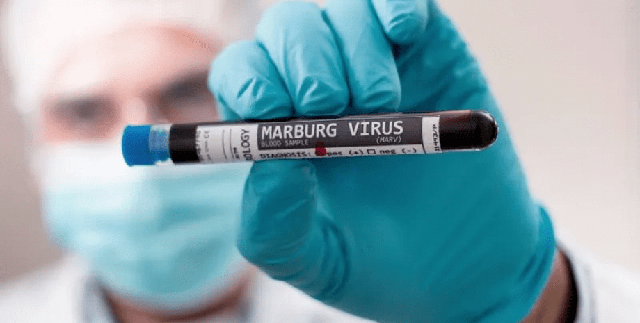 Chủ động giám sát, phát hiện và kiểm soát bệnh do virus Marburg- Ảnh 2.