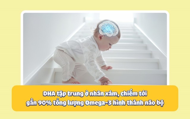 Có nên bổ sung DHA cho trẻ trong 2 năm đầu đời?- Ảnh 1.