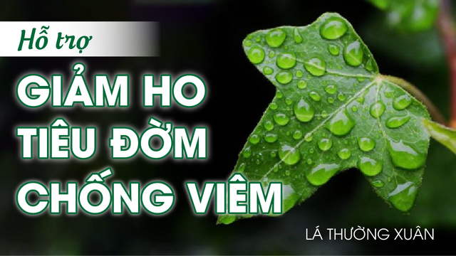 Giải pháp hỗ trợ giảm viêm họng khi thời tiết chuyển mùa- Ảnh 2.