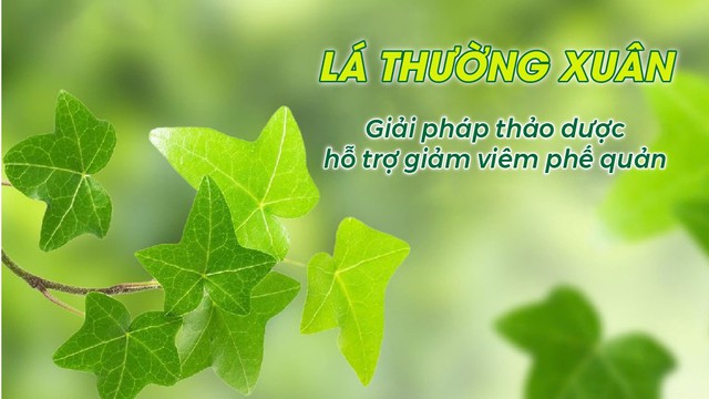 "Bật mí" giải pháp hỗ trợ viêm phế quản- Ảnh 2.