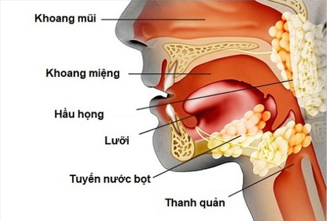 Người bệnh ung thư tuyến nước bọt nên tập thể dục như thế nào?- Ảnh 1.