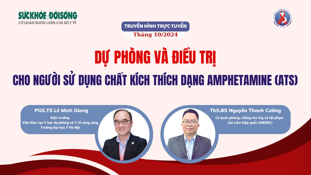 Truyền hình trực tuyến: Dự phòng và điều trị cho người sử dụng chất kích thích dạng Amphetamine (ATS)- Ảnh 1.