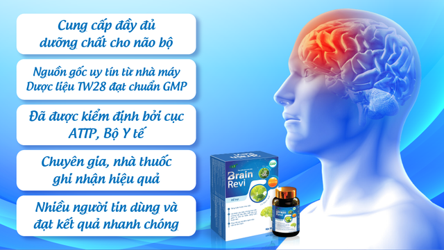 Giải pháp thảo dược hỗ trợ tăng cường trí nhớ, phòng ngừa đột quỵ- Ảnh 3.