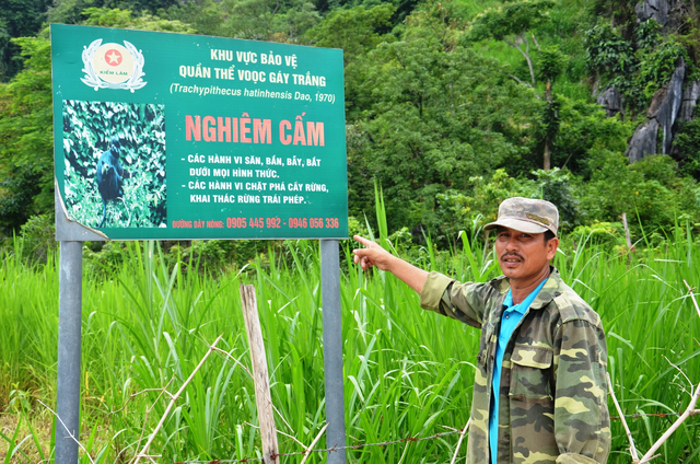 Những người tự nguyện bám rừng bảo vệ loài linh trưởng quý hiếm nằm trong Sách đỏ- Ảnh 2.