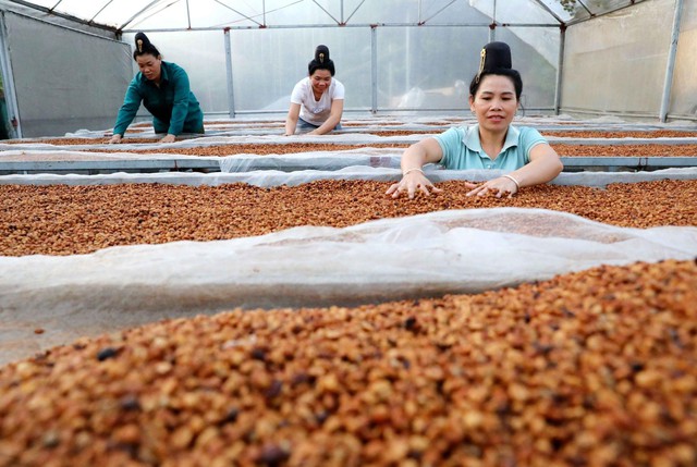 "Cà phê chị em" ở Điện Biên - nơi những người phụ nữ tìm lại vị thế của mình- Ảnh 1.