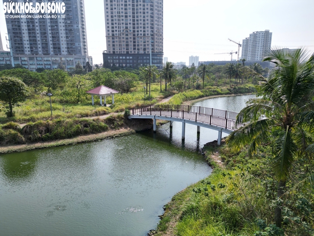 Bên trong công viên 'lãng phí' 8 năm được yêu cầu hoàn thành trước Tết- Ảnh 2.