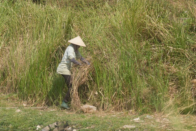 Bên trong công viên 'lãng phí' 8 năm được yêu cầu hoàn thành trước Tết- Ảnh 8.