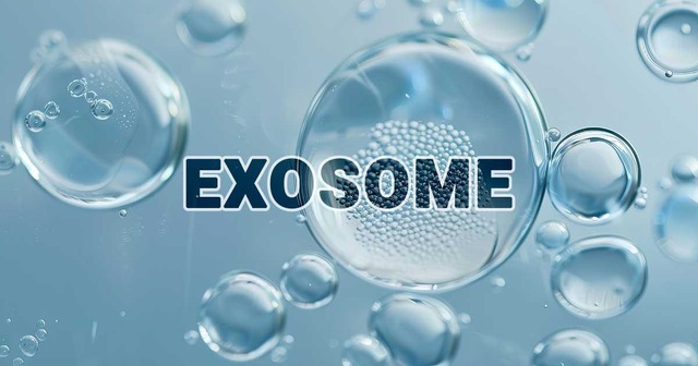 Exosome có tác dụng gì?- Ảnh 2.