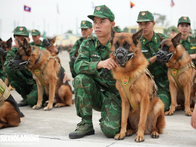 Ấn tượng màn trình diễn của  lực lượng đặc công, quân nhạc… chuẩn bị cho Triển lãm Quốc phòng - Ảnh 8.