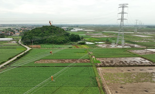 Thủ tướng Chính phủ biểu dương các đơn vị vượt mọi khó khăn, nỗ lực thi công Dự án đường dây 500kV mạch 3- Ảnh 1.