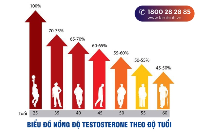 Giải pháp cho nam giới suy giảm nội tiết tố sau tuổi 40- Ảnh 1.