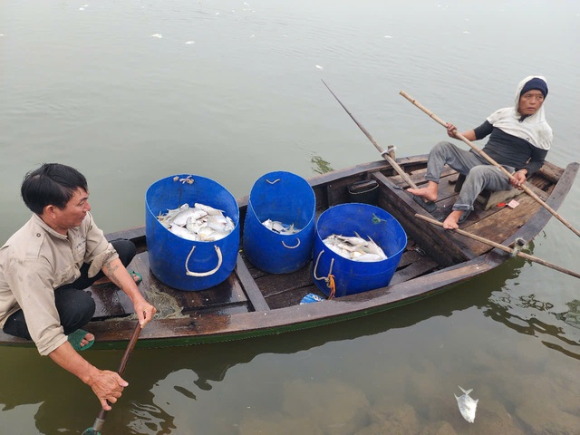 Hàng tấn cá chết trắng hồ, bốc mùi hôi thối- Ảnh 5.