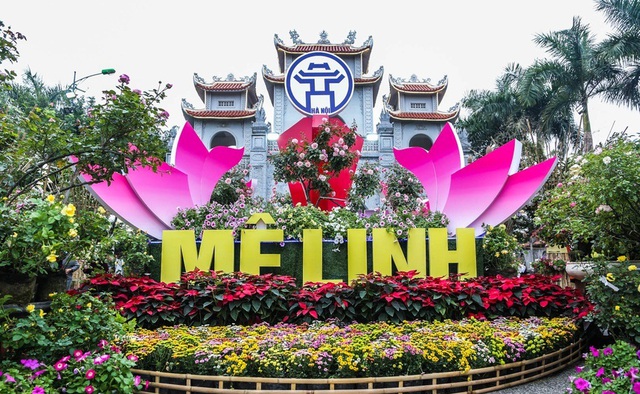 Lễ hội hoa Mê Linh lần thứ 2 hội tụ dàn sao "đỉnh nóc, kịch trần"- Ảnh 1.