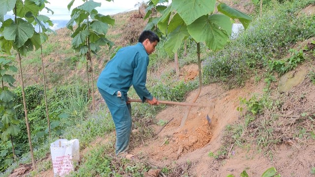 Lai Châu: Cần đẩy mạnh phát triển kinh tế dưới tán rừng- Ảnh 3.