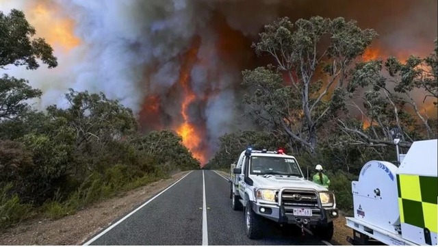 Thảm họa cháy rừng ở Australia: 74.000 ha rừng bị thiêu rụi- Ảnh 1.