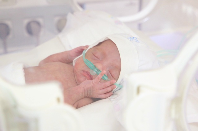 93 ngày hồi sinh bé nhỏ gái sinh vô cùng non, chỉ nặng nề 550 gram- Hình ảnh 2.