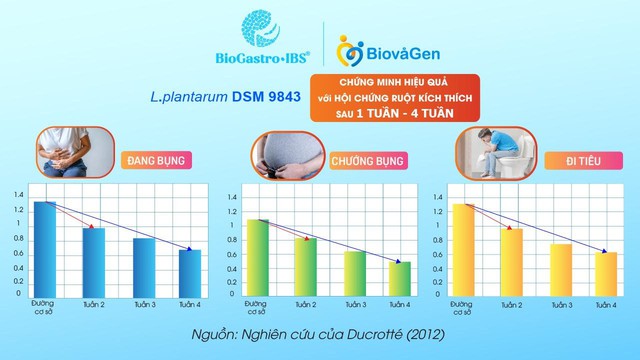 Chủng men vi sinh cải thiện Hội chứng ruột kích thích được nhiều người tin dùng- Ảnh 3.