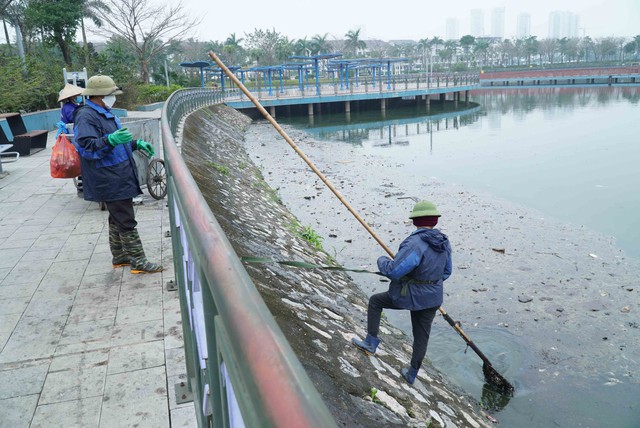 Lượng lớn cá chết bất thường trong công viên Thiên Văn Học- Ảnh 4.