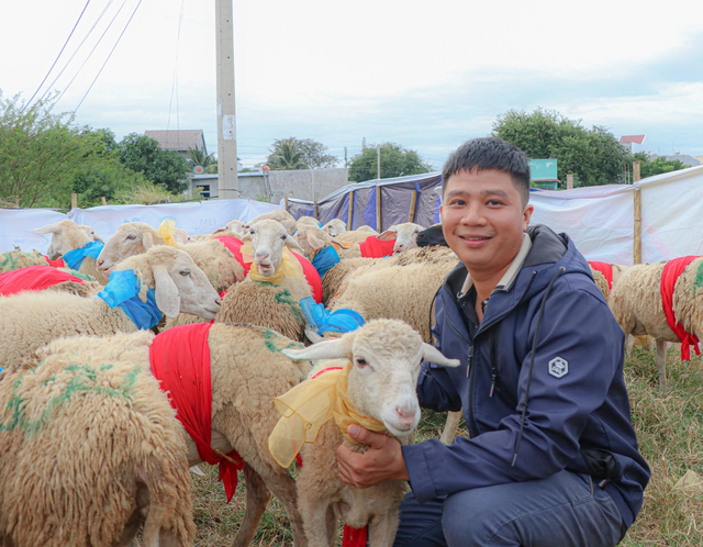 Ngày xuân và những câu chuyện thú vị của những người chăn cừu- Ảnh 4.