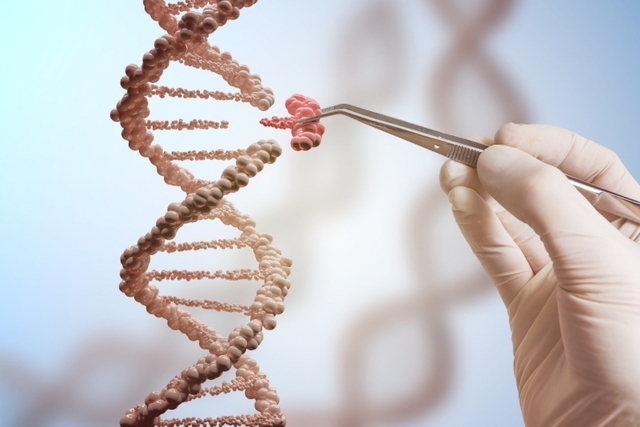 Khuynh hướng di truyền làm tăng nguy cơ phát triển ung thư do đột biến ở một số gene cụ thể. Ảnh minh họa