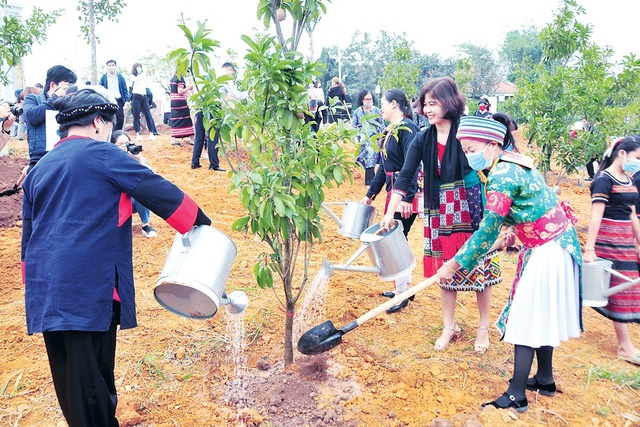 Thủ tướng yêu cầu triển khai 'Tết trồng cây đời đời nhớ ơn Bác Hồ' phải thiết thực, không phô trương- Ảnh 1.